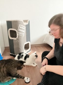 Desiree und Rocky mit Charlie, die Angstkatzen sind